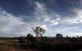 aranda bush pano